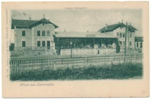 1901 Chernivtsi, Czernowitz, Cernauti, Csernyivci (Bukovina, Bucovina, Bukowina); Station Volksgarten / vasútállomás / railway station near the park. Verlag v. Leon König (b)