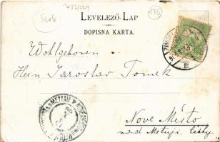 1906 Zimony, Semlin, Zemun; Veliki trg / Hauptplatz / Fő tér, piac, üzletek. I. Stojcic kiadása / ma...