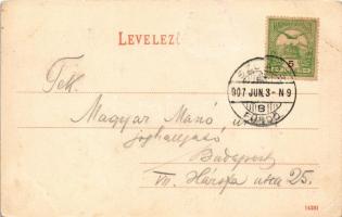 1907 Zólyom, Zvolen; vár. Özv. Löwy Samuné kiadása / castle (Rb)