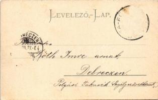 Zboró, Zborov; várrom. Eschwig Ede F. kiadása, Hajts Kornél felvétele / castle ruins (Rb)