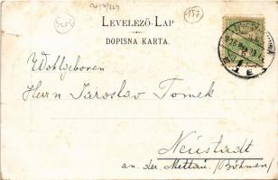 1906 Zimony, Semlin, Zemun; látkép. I. Stojcic kiadása / general view (szakadás / tear)