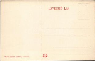 Trencsén, Trencín; várpark részlete. Weisz Náthán kiadása / castle park