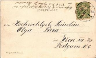 1905 Trencsén, Trencín; Vág folyó és vár. Szold E. kiadása / Vah river and castle (EK)