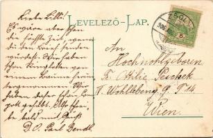 1906 Trencsén, Trencín; vár 200 évvel ezelőtt. Gansel Lipót 188./ Trenciansky hrad / castle 200 year...