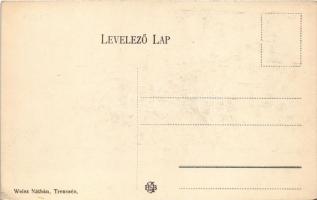 Trencsén, Trencín; vár. Weisz Náthán kiadása / Trenciansky hrad / castle (EK)