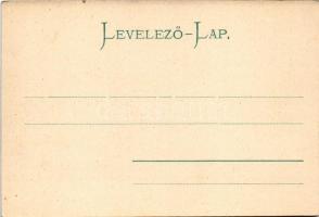 Trencsén, Trencín; vár a vasúti sínekkel. Gansel Lipót 14. kiadása / castle and railway tracks