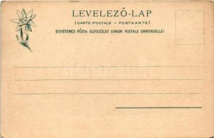 Nedec, Niedzica (mai Lengyelország, Magas-Tátra); Nedecz vár. Feitzinger Ede No. 364. 1902/12 / Schl...