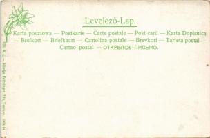 Zsolna, Sillein, Zilina; Hrad Budatín / Budatin vára a Vágnál Zsolna mellett. Feitzinger Ede 1904/14...