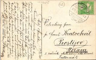 1911 Pétervárad, Peterwardein, Petrovaradin (Újvidék, Novi Sad); Jelaciceva ulica / Jelacic Gasse / ...