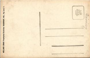 Divény, Divín; Hrad Divín / Divényi vár. Müllner János fényképész illustrátor / castle ruins