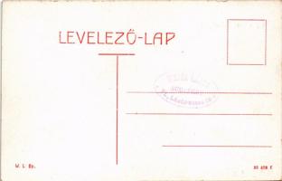 Zsolnalitva, Ljetava, Lietava (Vágvölgy, Povazie); vár. W.L. Bp. / Hrad Lietava / castle