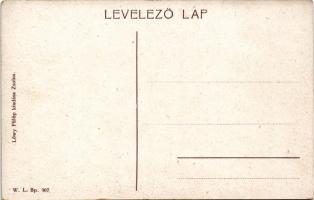 Sztrecsnó, Sztrecsény, Strecno (Tátra, Tatry); Vágvölgy, várrom. W.L. Bp. 307. Löwy Fülöp kiadása / ...