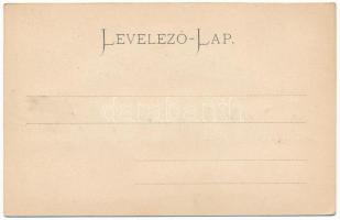 Nyitra, Nitra; Püspöki vár. Dombornyomott arany díszítéssel / Chateau Episcopale / bishop's cas...