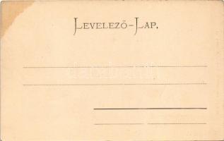 Árvaváralja, Oravsky Podzámok (Tátra, Tatry); vár. Gansel Lipót 186., Dr. Pattantyús A. M. felvétele...