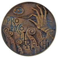 Orr Lajos (1952-) 1990. "Pro Piccoli Archi / Alapította a Nyíregyházi Zeneiskola vonós tanszaka" bronz emlékérem fa éremtartóban (68mm) T:UNC patina