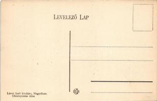Murány, Murányalja, Murán; Murány vára madártávlatból. Lévai Izsó kiadása / Muransky hrad / castle