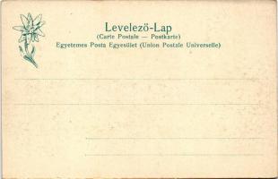 Szepesváralja, Spisské Podhradie, Kirchdrauf; Szepes vára. Feitzinger Ede 1902/12. 430. / Zipser Sch...