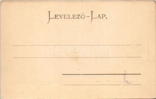 Sztrecsnó, Sztrecsény, Strecno (Tátra, Tatry); A Vág völgye. Sztrecsnó vára Zsolna mellett. Gansel L...