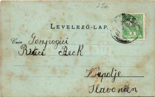 Óbecse, Stari Becej; Görög katolikus szerb és Római katolikus templomok, városháza, szabadságharc em...