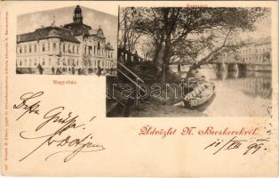 1899 (Vorläufer) Nagybecskerek, Zrenjanin, Veliki Beckerek; Bega part, megyeház. Schenk H. kiadása / riverside, county hall