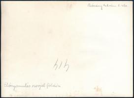 1942 Előrenyomulás szovjet földön, Bárány István zászlós haditudósító ceruzával jelzett eredeti fotó...