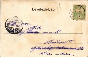 1903 Koritnyica, Korytnica; Schweiz nyaraló, szökőkút. Kohn A. kiadása / villa, fountain, spa (fl)