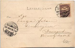 1900 Vajdahunyad, Hunedoara; vár / castle. photo (EK)