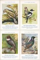 A m. kir. Madártani Intézet kliséi. Hazai Madaraink képsorozat - 32 db régi használatlan képeslap / Hungarian birds - 32 pre-1945 unused postcards