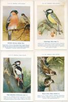 A m. kir. Madártani Intézet kliséi. Hazai Madaraink képsorozat - 32 db régi használatlan képeslap / ...
