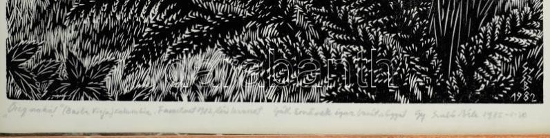 Gy. Szabó Béla (1905-1985): Öreg szakál, 1982. Fametszet, kézi levonat, papír, jelzett, Gy. Szabó Bé...