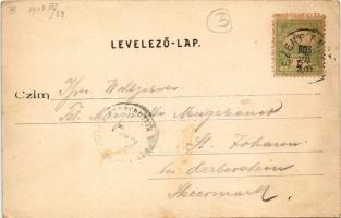 1903 Szentendre, Duna-part. Divald Károly 234. sz. (fl)