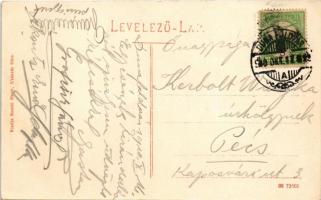 1910 Dunaföldvár, Erzsébet sétatér, Missziósház. Somló Manó kiadása