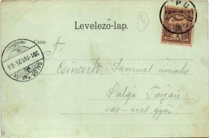 1901 Putnok, Gróf Serényi kastély a kert felől. Kiszely József kiadása. Rozgonyi Dezső felvétele utá...