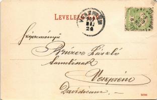 1907 Dunaföldvár, Piac tér árusokkal, gyógyszertár. Schwendtner Ferenc kiadása (Rb)