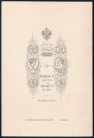 cca 1870 Bécs, ismeretlen színtársulat tagjai magyar vonatkozású darab jelmezeiben, hangszerekkel, s...