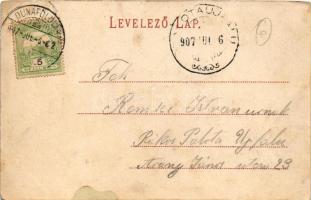 1907 Dunaföldvár, Özv. Nagy Imréné "Stefánia" kertje, étterem. Somló Manó kiadása (fl)