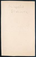 1867 Obrenovics Mihály (1823-1868) szerb fejedelem nem sokkal meggyilkolása előtt katonai egyenruháb...