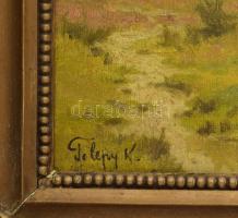 Telepy K. jelzéssel. Táj. Olaj, vászon, kartonon. 25x19 cm. Dekoratív, sérült fakeretben