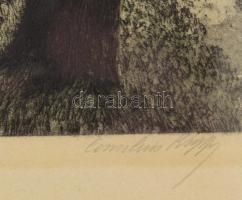 Olvashatatlan jelzéssel: Nyári nap. Rézkarc, papír. 12x17 cm. Üvegezett fakeretben