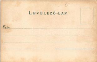 Brassó, Kronstadt, Brasov; látkép. Hiemesch kiadása / general view (EK)