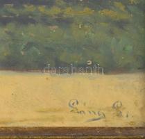 Láng jelzéssel. Kislány a rózsakertben. Olaj, karton. Kissé sérült Üvegezett fakeretben. 24x35 cm