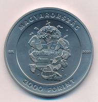 2020. 3000Ft Cu-Ni "30 éve szabadon" T:BU 
Adamo EM392