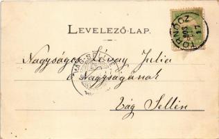 1903 Kövecses puszta, Strkovec (Sopornya, Soporna); vadászat az Esterházy kastélynál / hunting near ...