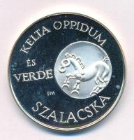 Fritz Mihály (1947-) 1993. "120 éve tanácsi jogú város Kaposvár - 25 éves az Éremgyűjtő Csoport...