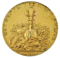 Franciaország DN "André-Hercule de Fleury bíboros" kétoldalas, aranyozott replika emlékére...