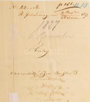 1827 Gróf Zichy István diplomata szentpétervári követ aláírt levele Metternich kancellárhoz