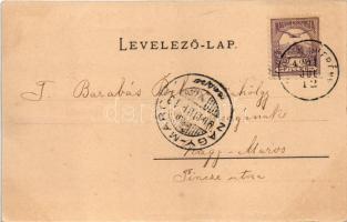 1901 Balatonberény, Balaton-Berény; nyaralók, kilátás Badacsony felé, vasúti megállóhely, vasútállom...