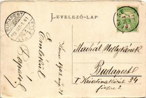 1908 Balatonkenese, Kenese; Fürdőtelep, Balaton-part. Pósa Endre kiadása (szakadás / tear)