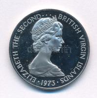 Brit Virgin-szigetek 1973. 25c Cu-Ni "II. Erzsébet" T:AU (PP) ujjlenyomat, karc British Virgin Islands 1973. 25 Cents Cu-Ni "Elizabeth II" C:AU (PP) fingerprints, scratch Krause KM#4