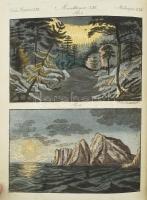 Bertuch, F(riedrich) J(ustin): Természethistóriai képeskönyv az ifjúság hasznára és gyönyörködtetésé...